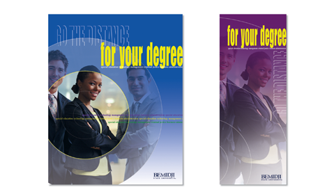 Online Degree Posters